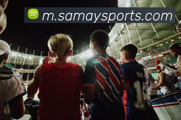 多媒体互动体验